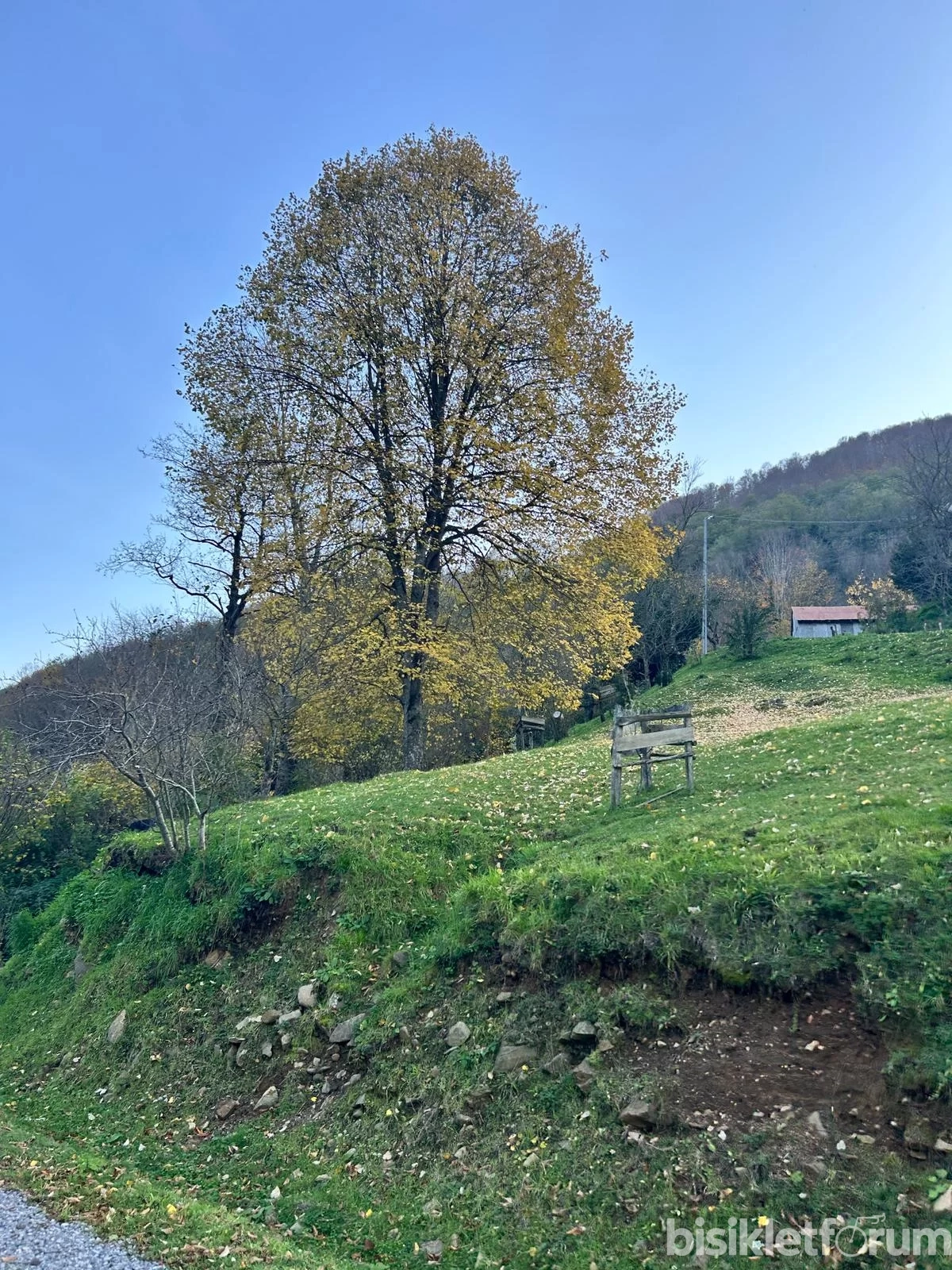 WhatsApp Image 2025-11-23 at 19.16.44.webp